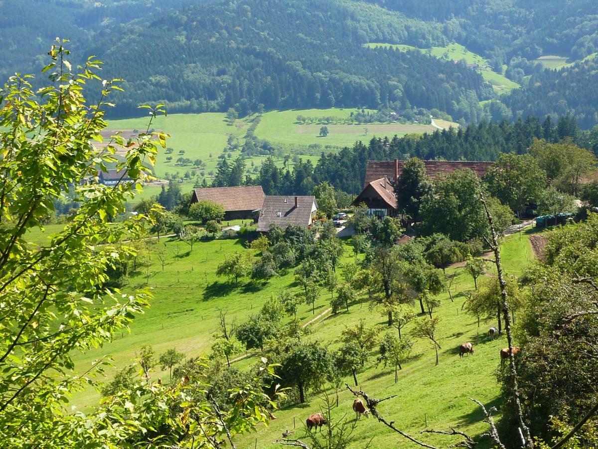 Ferienhaus Eck 젤암하르메스바크 외부 사진